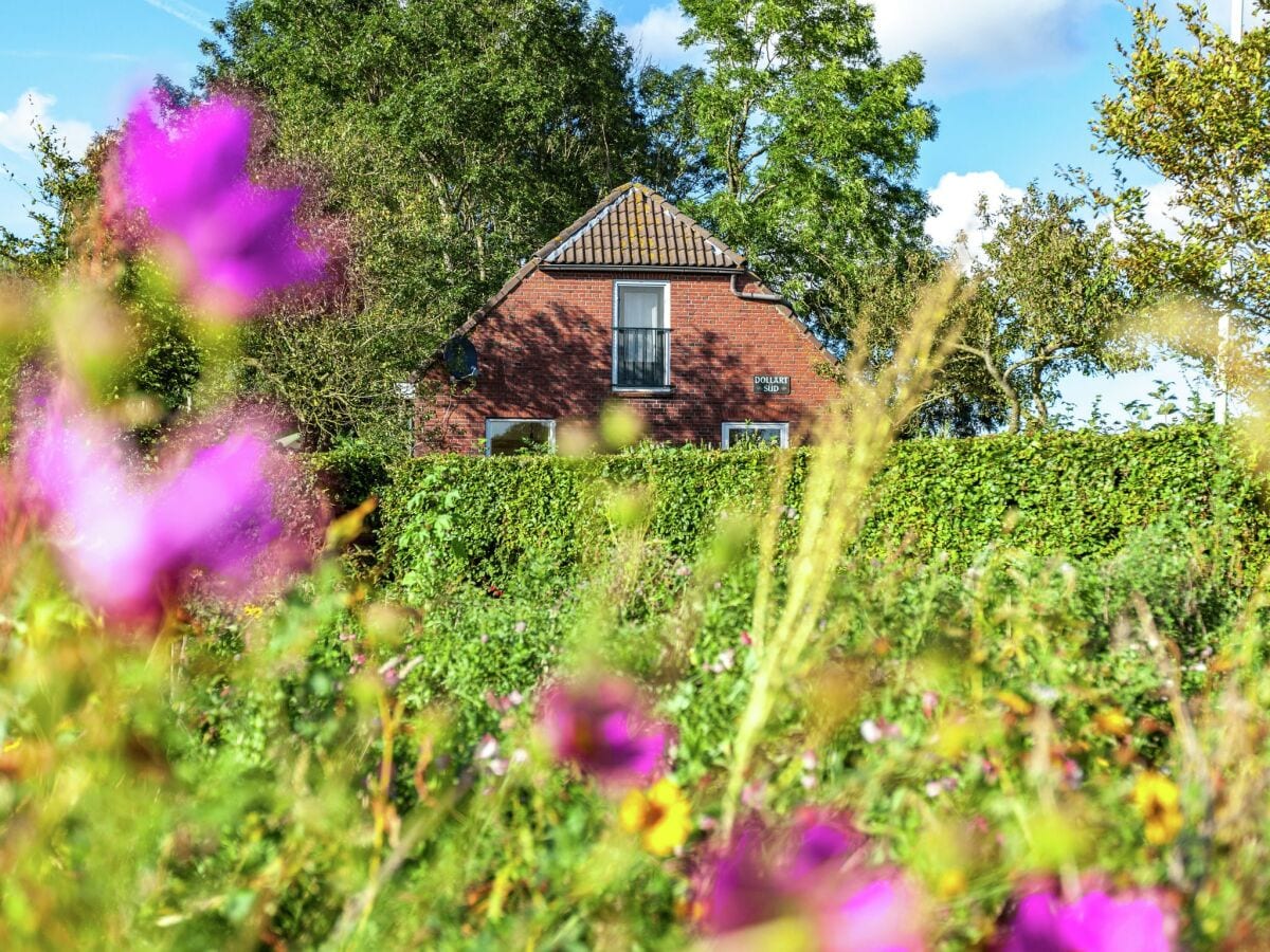 Ferienhaus Bunde Außenaufnahme 8