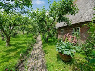 Appartement Engwierum Buitenaudio-opname 3