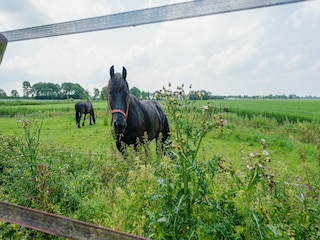 Apartamento Engwierum Entorno 32