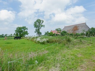 Appartement Engwierum Omgeving 34