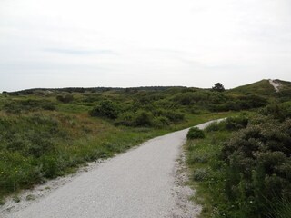 Vakantiehuis Oostmahorn Omgeving 14