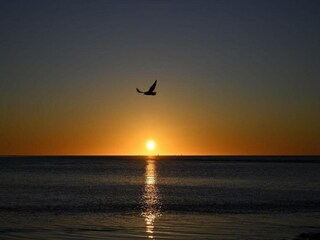 Vakantiehuis Oostmahorn Omgeving 17