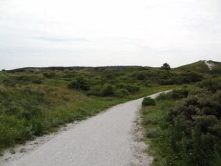 Vakantiehuis Oostmahorn Omgeving 23