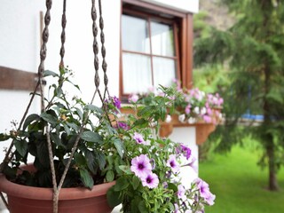 Apartamento Going am Wilden Kaiser  34