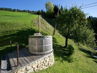 Chalet Hopfgarten im Brixental  56