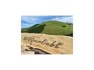 Chalet Hopfgarten im Brixental Umgebung 46