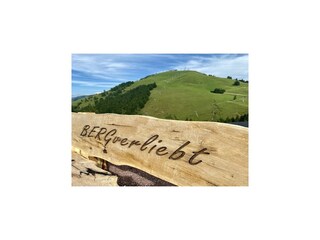 Chalet Hopfgarten im Brixental Umgebung 49