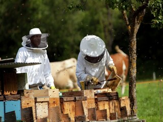 Chalet Hopfgarten im Brixental Environment 51
