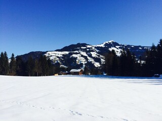 Type de propriété : Ferme Hopfgarten im Brixental Enregistrement extérieur 3