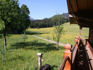 Farmhouse Hopfgarten im Brixental Outdoor Recording 10