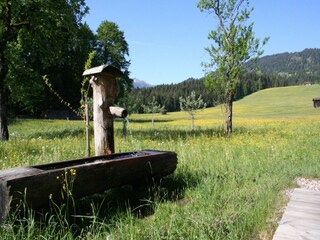 Type de propriété : Ferme Hopfgarten im Brixental Enregistrement extérieur 6