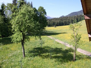 Type de propriété : Ferme Hopfgarten im Brixental Enregistrement extérieur 7