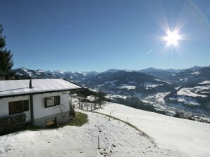 Chalet in Hopfgarten/Brixental im Skigebiet - Hohe Salve - image1