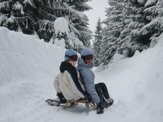 Chalet Hopfgarten im Brixental Entorno 31