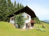 Chalet Hopfgarten im Brixental Außenaufnahme 1