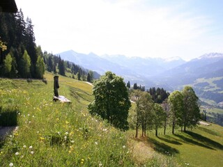 Chalet Hopfgarten im Brixental Außenaufnahme 16