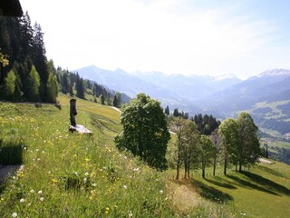 Chalet Hopfgarten im Brixental Buitenaudio-opname 15