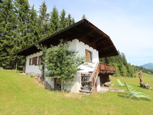 Vrijstaand chalet in Tirol met zicht over de bergen - Hoge volley - image1