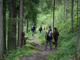 Appartement Westendorf Environnement 32