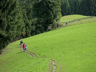 Appartement Westendorf Environnement 34