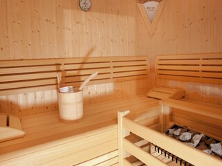 Appartement Hollersbach im Pinzgau  45