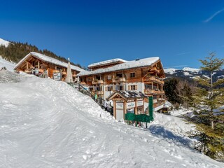 Appartamento Hollersbach im Pinzgau Registrazione all'aperto 12