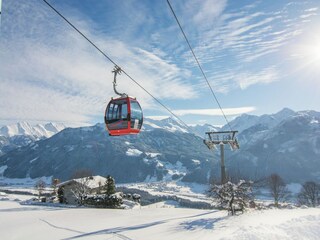 Apartment Hollersbach im Pinzgau Umgebung 27