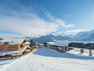 Apartment Hollersbach im Pinzgau Umgebung 28