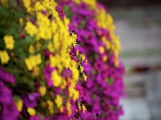 Appartement Waidring Buitenaudio-opname 8