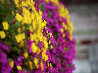 Appartement Waidring Enregistrement extérieur 8