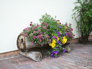 Apartamento Waidring Grabación al aire libre 15