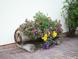 Apartment Waidring Außenaufnahme 3