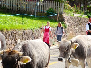 Fattoria Völs am Schlern Ambiente 20