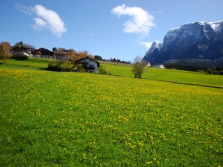 Fattoria Völs am Schlern Ambiente 22