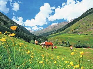 Apartment Längenfeld Environment 39