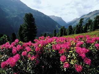 Appartement Längenfeld Omgeving 18