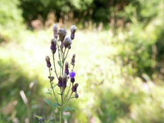 Apartamento Längenfeld  40