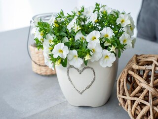 Appartamento Strengen am Arlberg  37