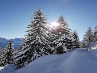 Appartamento Wängle Ambiente 27