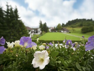 Appartement Wängle Buitenaudio-opname 10