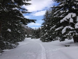 Apartment Wängle Umgebung 26