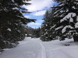 Appartement Wängle Environnement 26