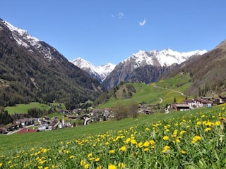 Apartment Wängle Umgebung 29