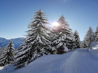 Apartment Wängle Umgebung 36