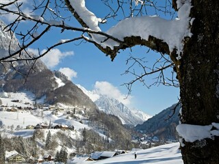 Chalet Brand in Vorarlberg Environment 23
