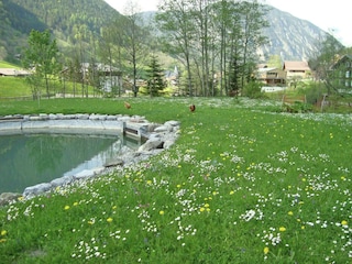 Chalet Brand in Vorarlberg Environnement 21