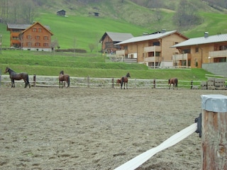 Chalet Brand in Vorarlberg Umgebung 22