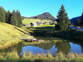 Appartement Silvretta Nova Omgeving 28