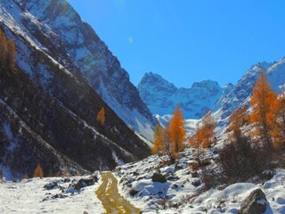 Appartamento Silvretta Nova Ambiente 32