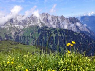 Appartement Silvretta Nova Omgeving 32
